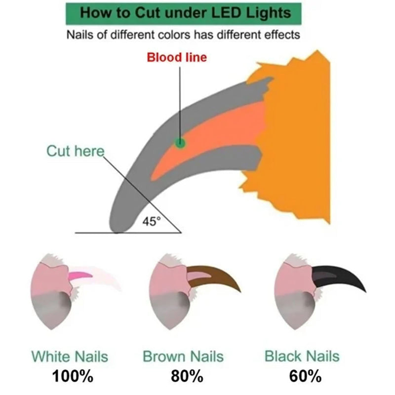 Pet Nail Clippers With LED Light Dogs Cat Nail Scissors Professional Trimmer Tool Care Grooming Supplies - Zyrawave