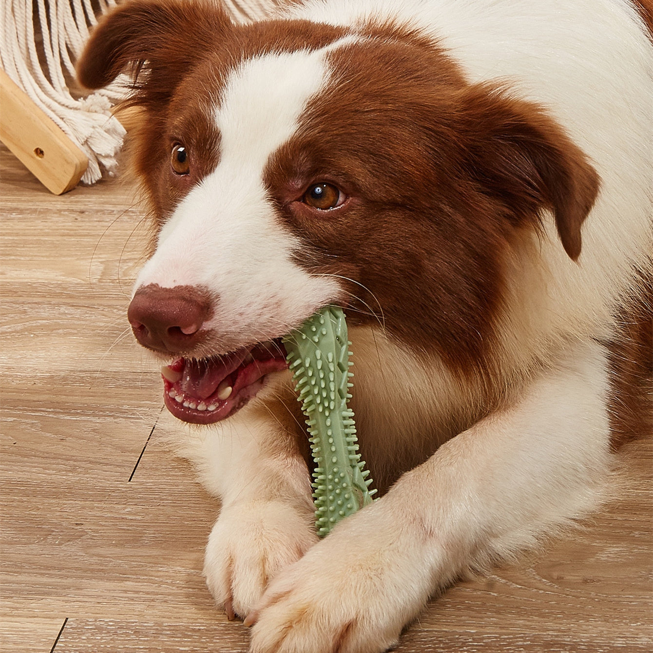 Chew Toys For Dog Teeth Cleaning Indestructible - Zyrawave