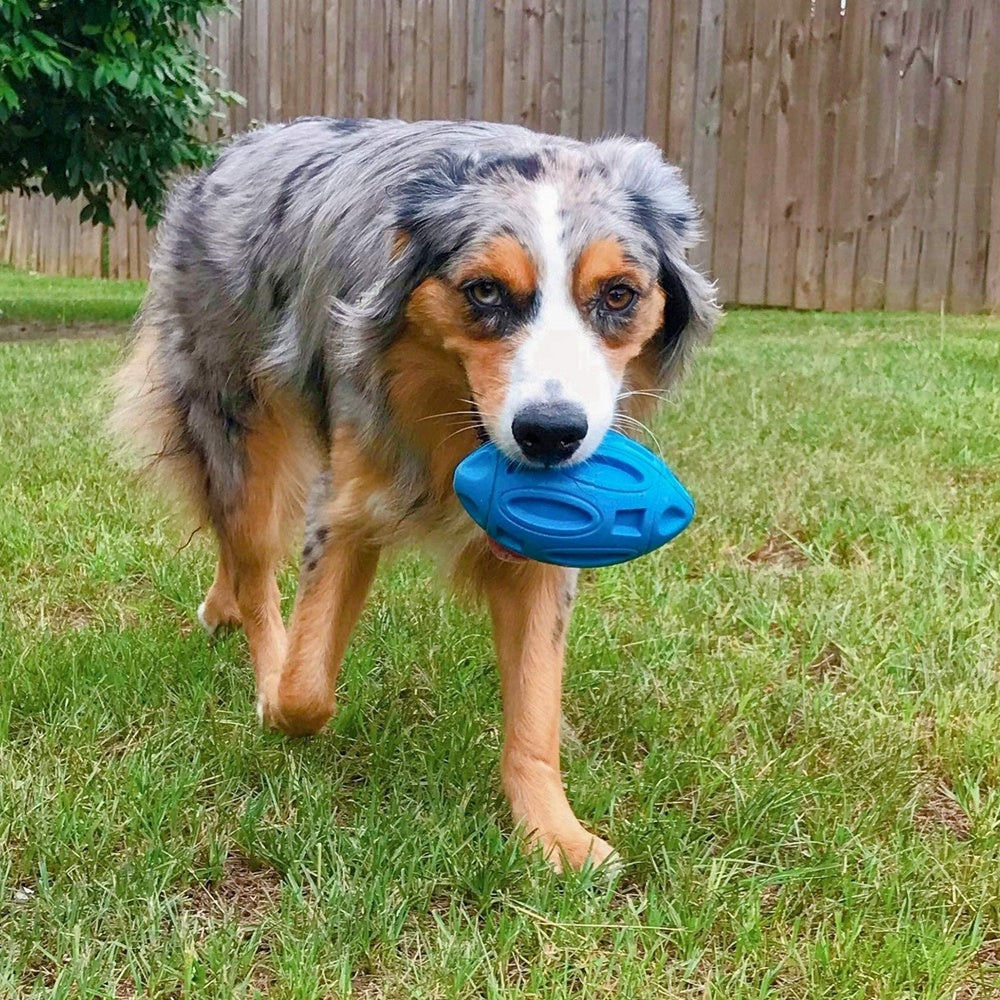 Pet rubber wear-resistant rugby - Zyrawave