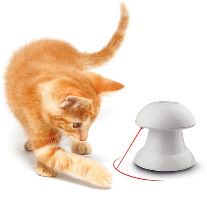 LED laser laser cat turntable funny cat stick - Zyrawave