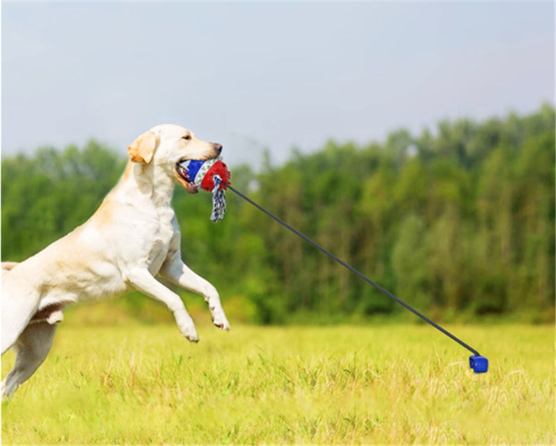 Dog Teething And Bite Resistant Outdoor Strong Draw Rope Ball - Zyrawave
