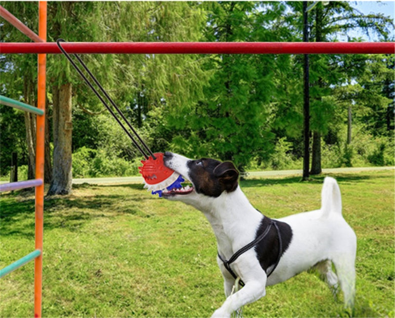 Dog Teething And Bite Resistant Outdoor Strong Draw Rope Ball - Zyrawave
