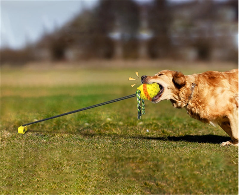 Dog Teething And Bite Resistant Outdoor Strong Draw Rope Ball - Zyrawave