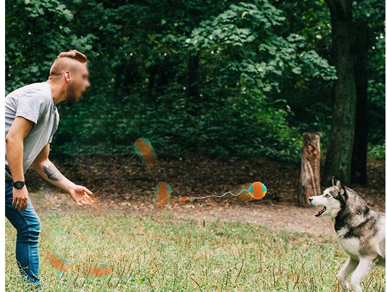 New Pet Draw Rope Hand Throwing Ball ABS Grinding Teeth Resistant Chew Dog Training Ball - Zyrawave