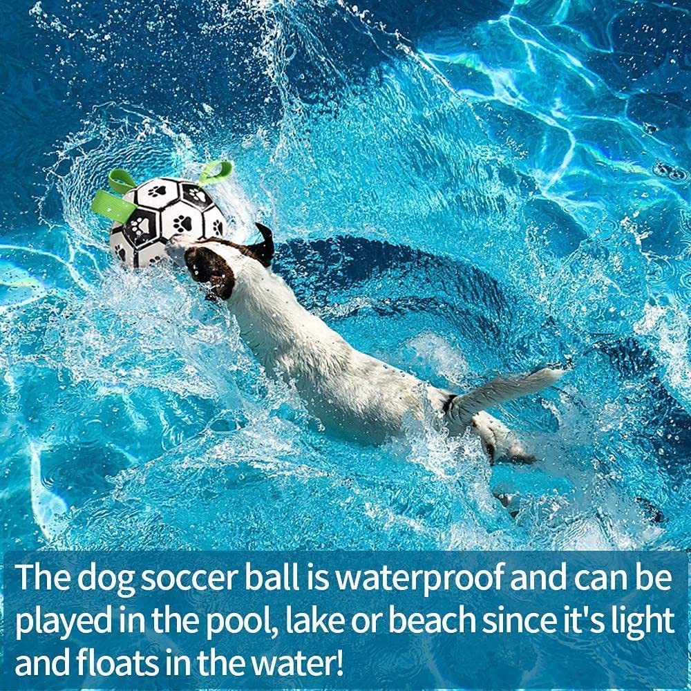 Interactive Dog Football Toy Soccer Ball Inflated Training Toy For ... - Zyrawave