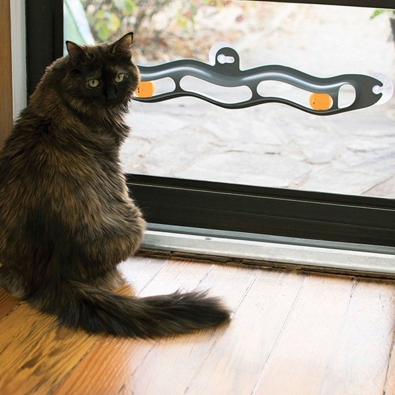 Interactive Track Ball Window Suction Cup Toy Catnip Balls Massage Plastic Sucker Funny Cat Game Intelligence Toy - Zyrawave