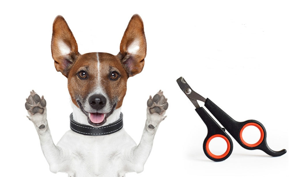 Scissor-Style Dog Nail Clipper - Zyrawave