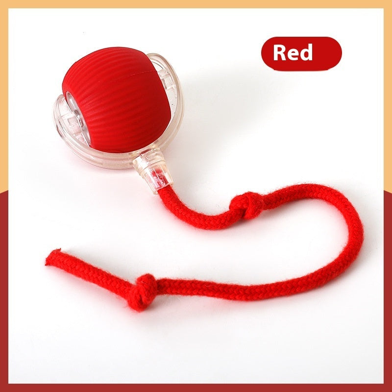 Interactive Cat Toy Ball Super Drive Cat Rolling Ball - Zyrawave