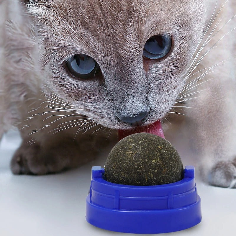 Catnip licking ball - Zyrawave
