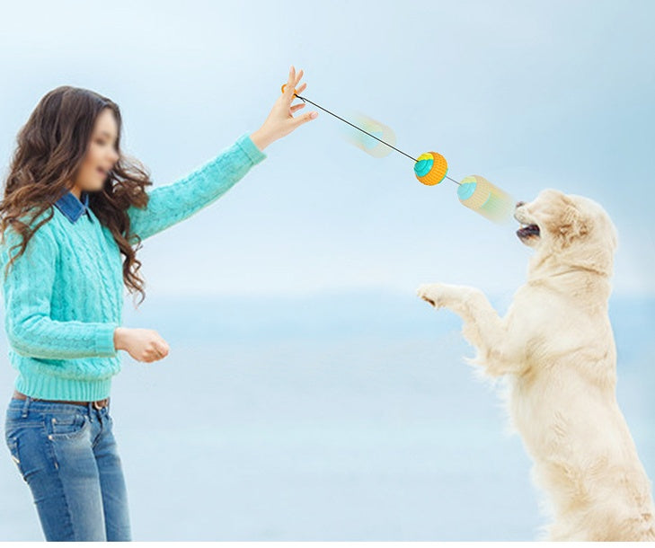 New Pet Draw Rope Hand Throwing Ball ABS Grinding Teeth Resistant Chew Dog Training Ball - Zyrawave