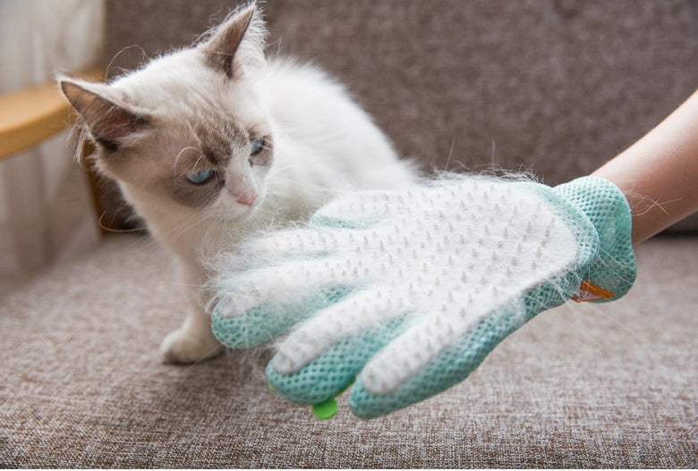 Dog Grooming Glove (fur remover + massage) - Zyrawave