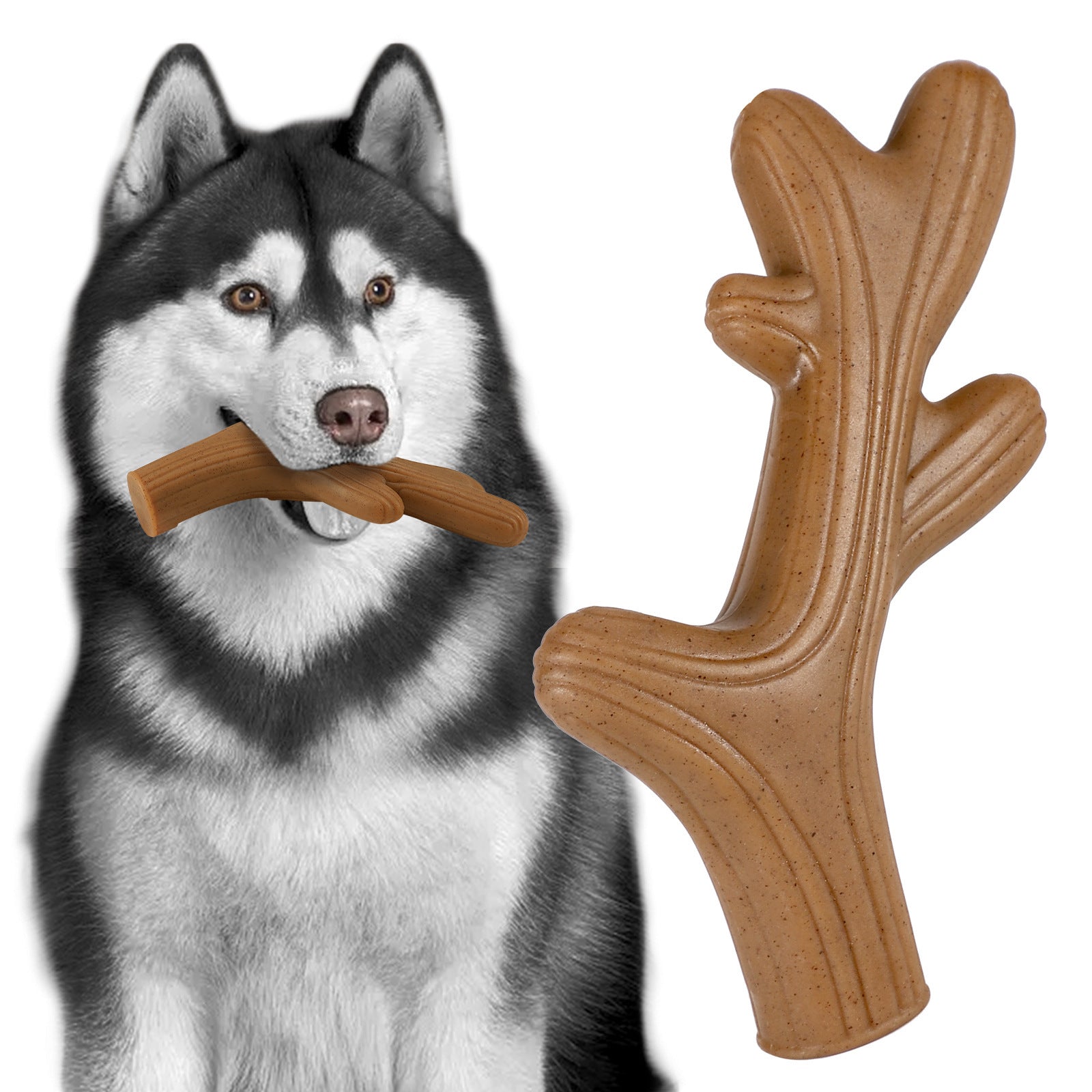 New Popular Nylon Durable Dog Chewing Toy - Zyrawave