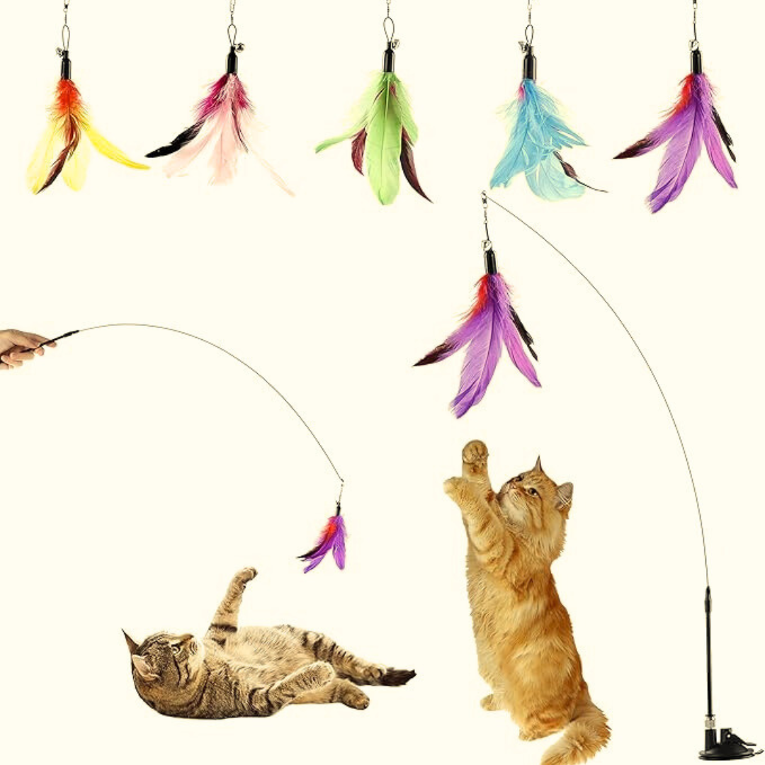 Feather Fairy Tassel Funny Cat Stick Playset - Zyrawave
