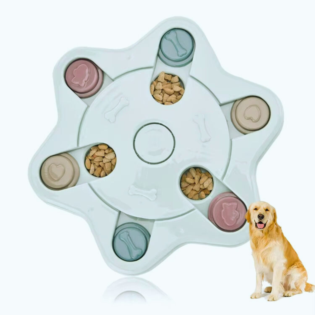 Pet Puzzle Cat Toy Collapsible Cat Tunnel Ringing Paper Cat Passage - Zyrawave