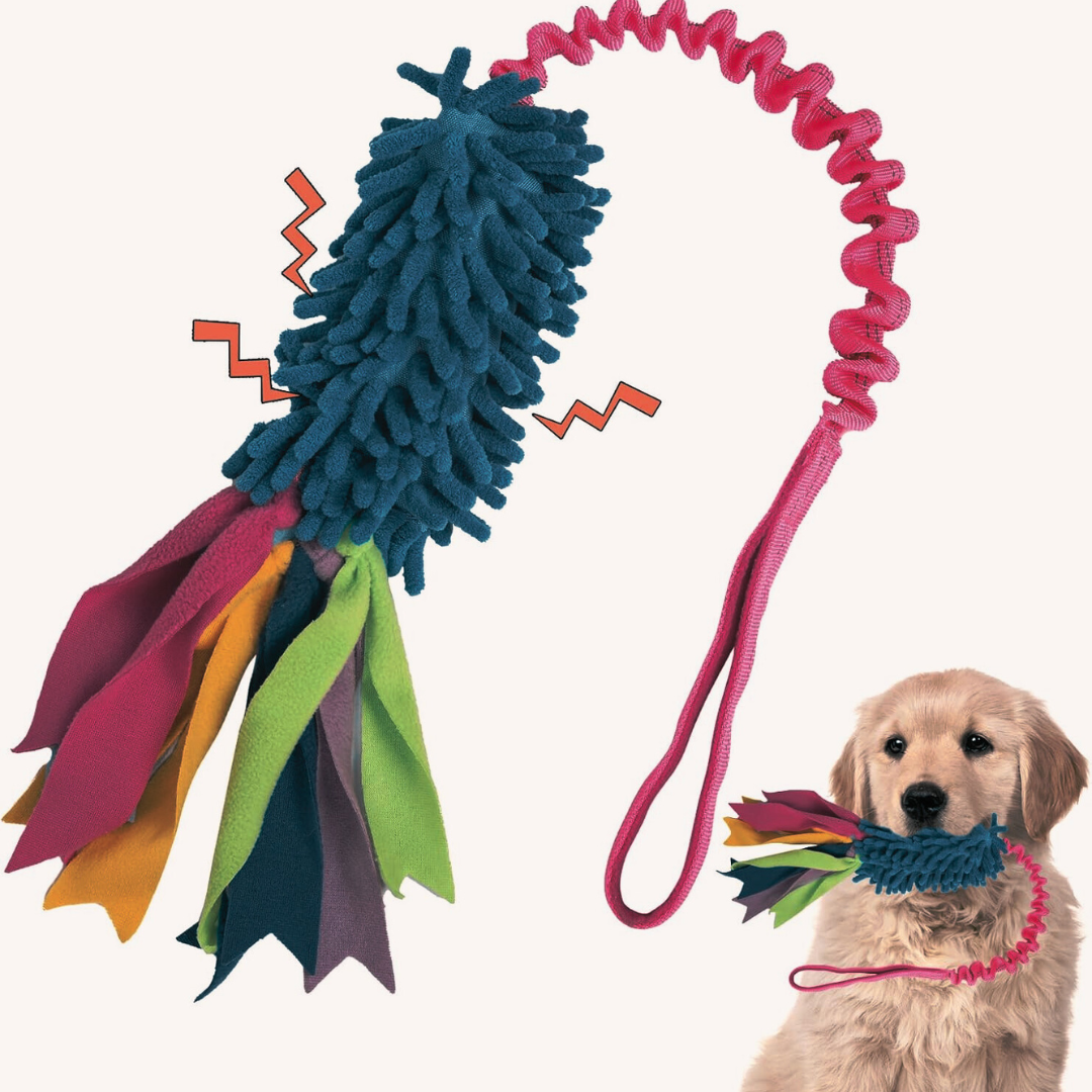 Pet Toy Foam TPR Cotton Rope Triangle Tug-of-war Molar - Zyrawave