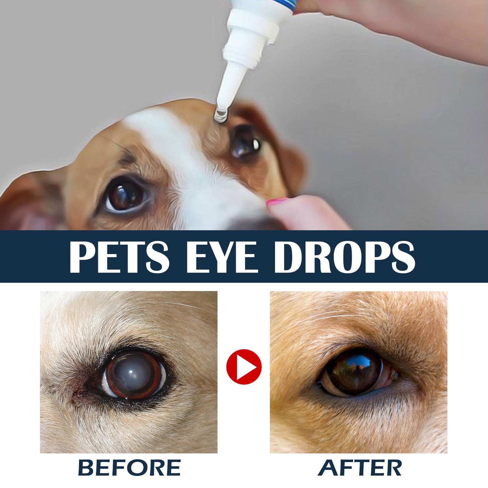 Pet Eye Drops Tear Removal Relieve Itching - Zyrawave